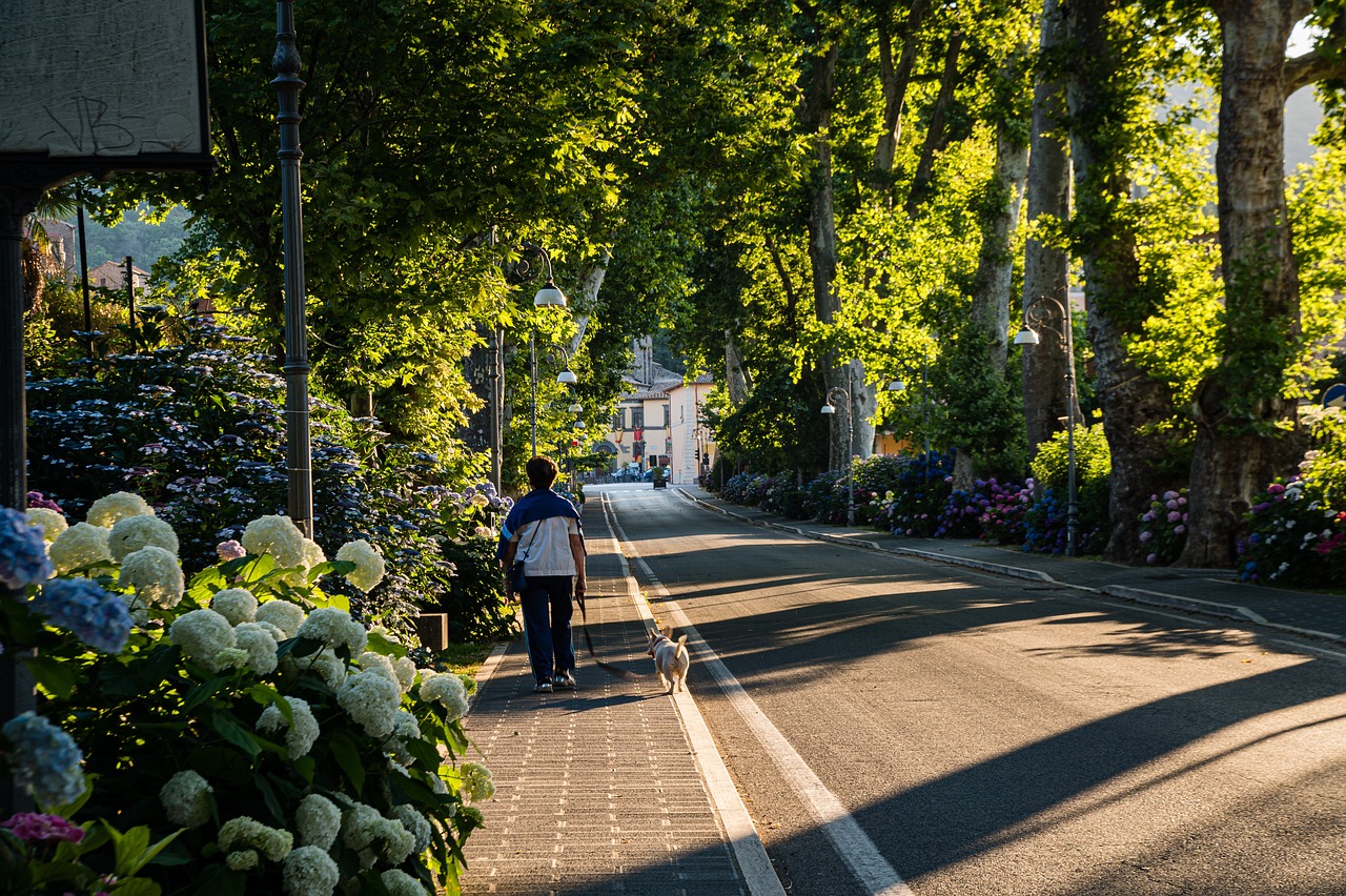 street, animal, walk, dog, person, pet, green, fire path, bolsena city, italy, fresh, natural, bolsena tourism